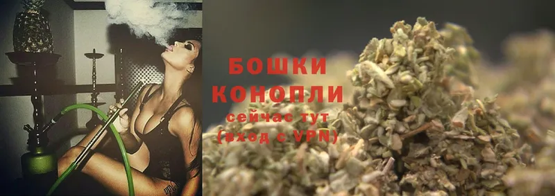 Бошки Шишки White Widow  Курчалой 